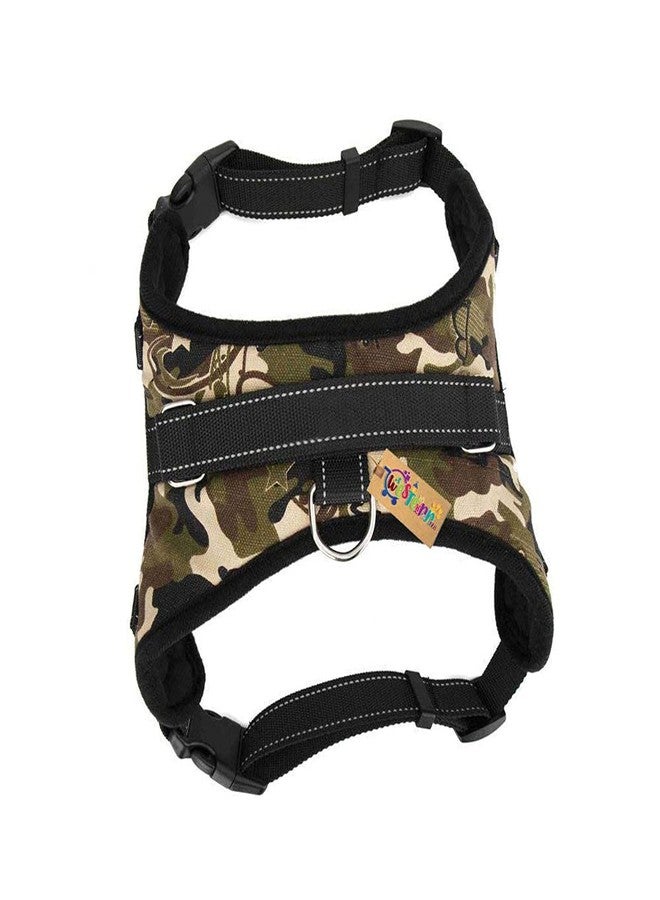 ويستيرن إرا سترة رياضية للكلاب مبطنة قابلة للتعديل من ويسترن إيرا مع راحة إضافية (مقاس كبير) - Image 4